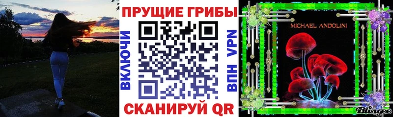 Галлюциногенные грибы ЛСД  kraken сайт  Торопец  купить наркотик 